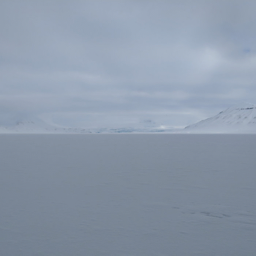 Vinland Ghost : The Northern Steppes